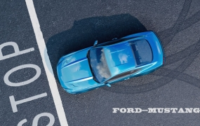 阿多尼斯硕 Blender渲染课程第一期2021年