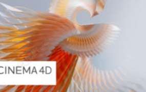 C4D R25初级新手课2022年