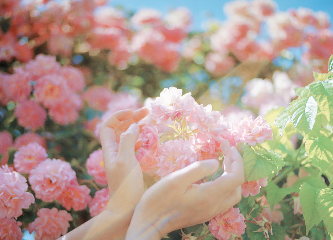 overwater摄影第二期2020