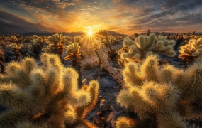 白一帆 风光摄影实战教程全能篇