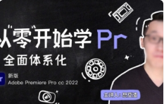 新片场怒豆渣从零开始学PR剪辑 CC2022