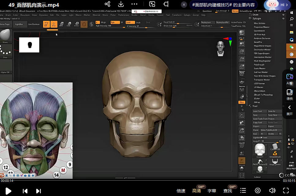 东哥3d角色网络班第2期2023