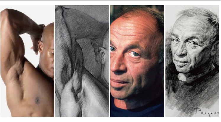 proko人体绘画结构解剖视频高级完整版premium手绘