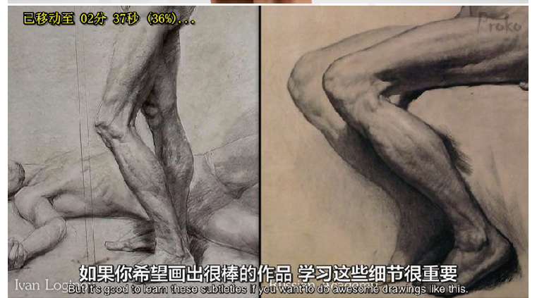 proko人体绘画结构解剖视频高级完整版premium手绘
