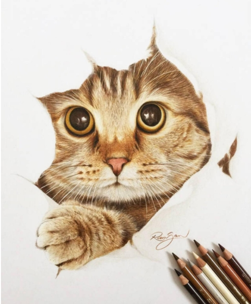 零基础学彩铅2020