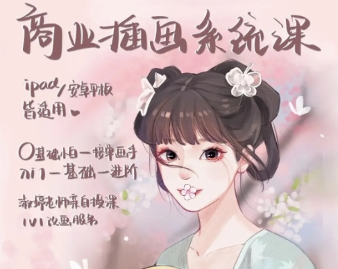 淑婷老师商业插画系统课ipad