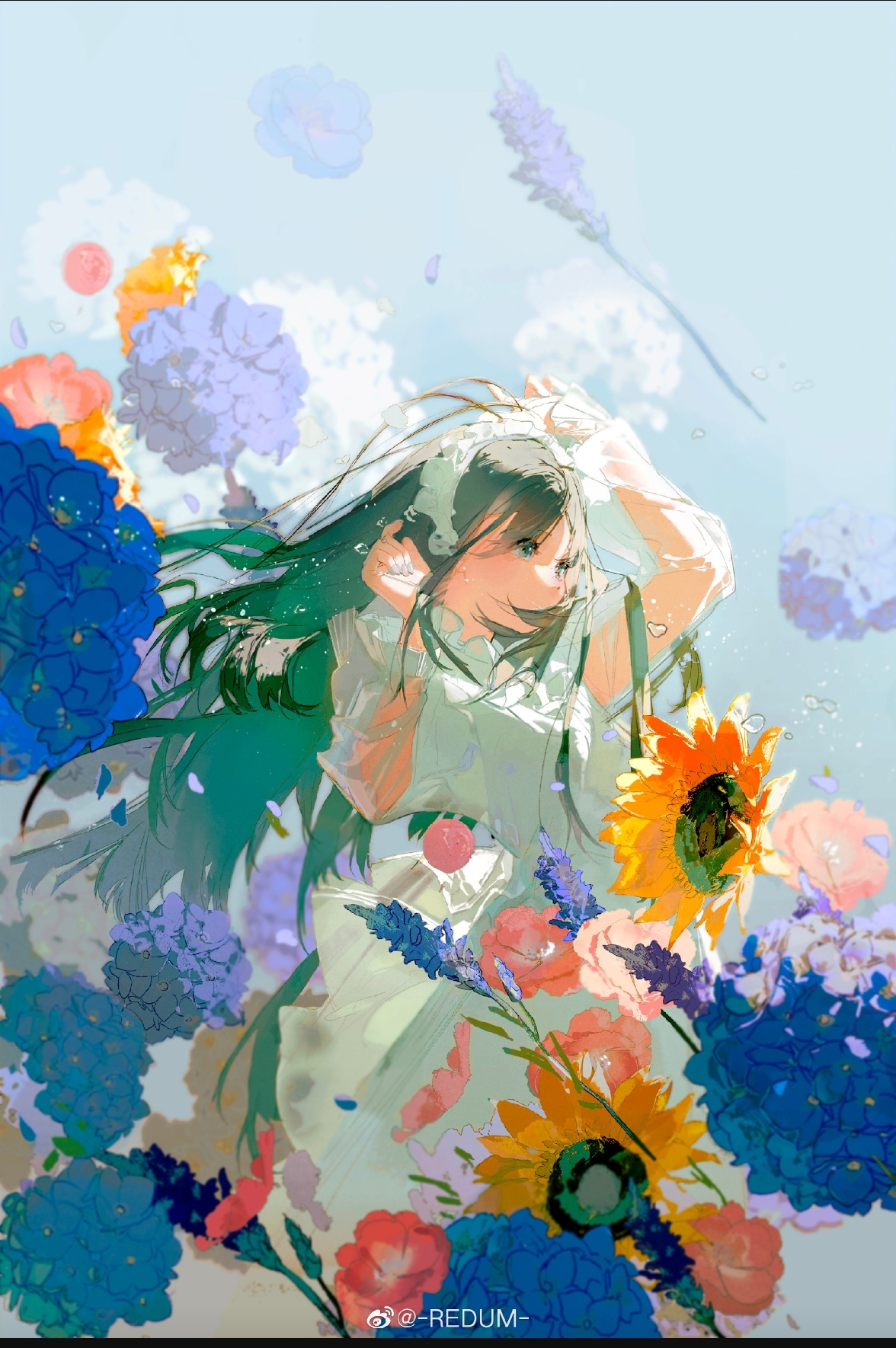 Redum三土PS插画基础班2020年9月结课