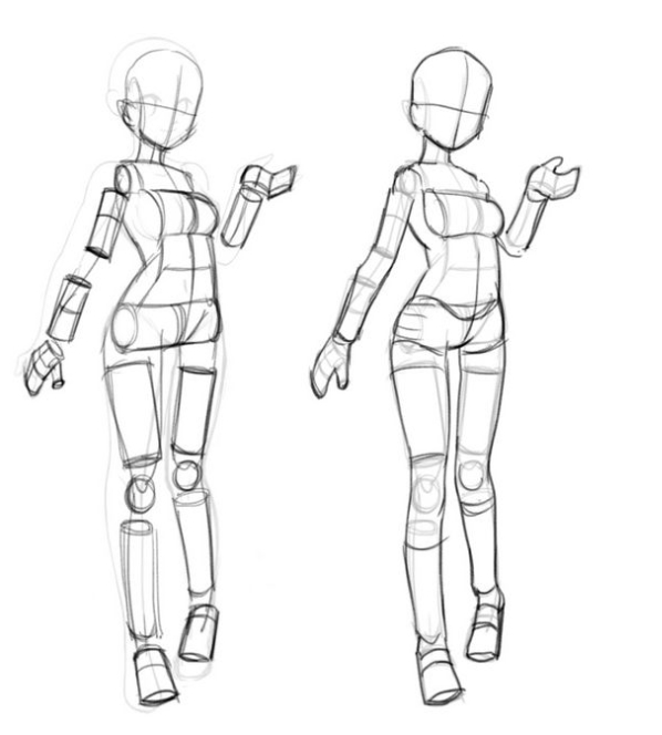 魔豆人体讲解视频