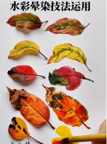 王小媛水彩全能课