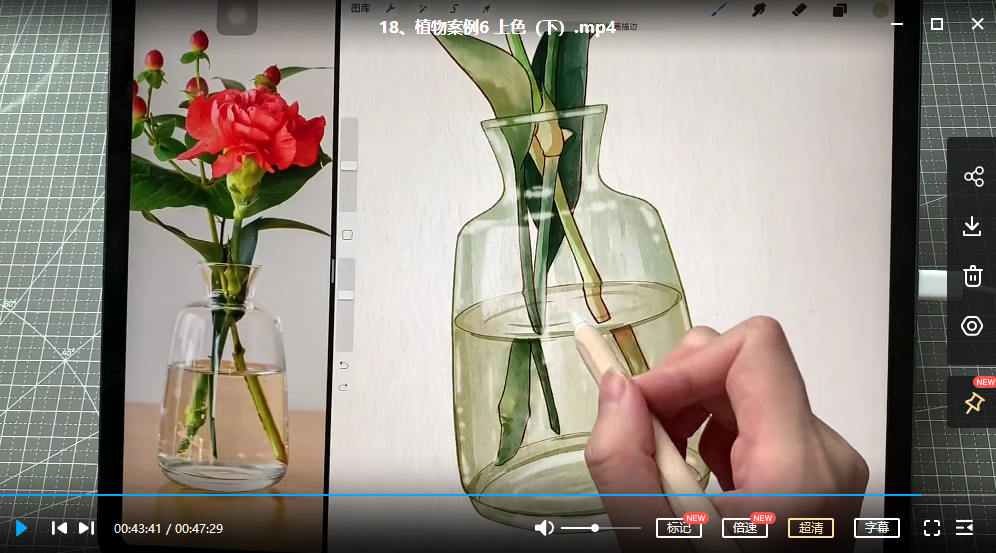 鱼小沫ipad综合团练植物+少女2022年