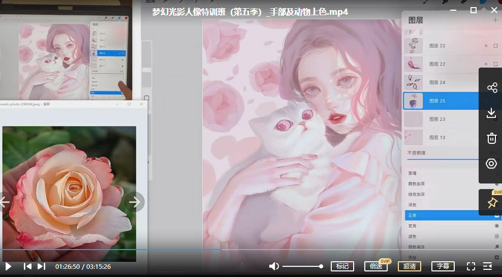 杜鹃梦幻光影人像特训班第五季ipad插画课 2022年