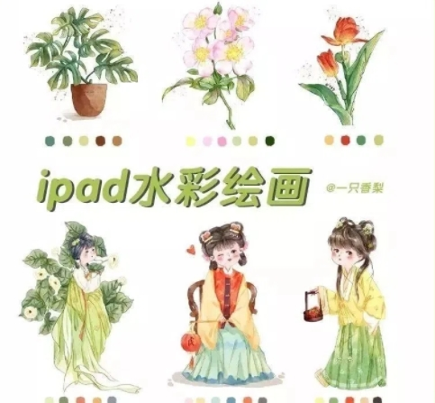 一只香梨ipad水彩系统课