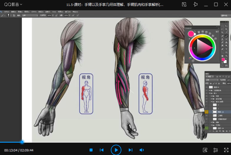 大木画画人体结构第五期2022年