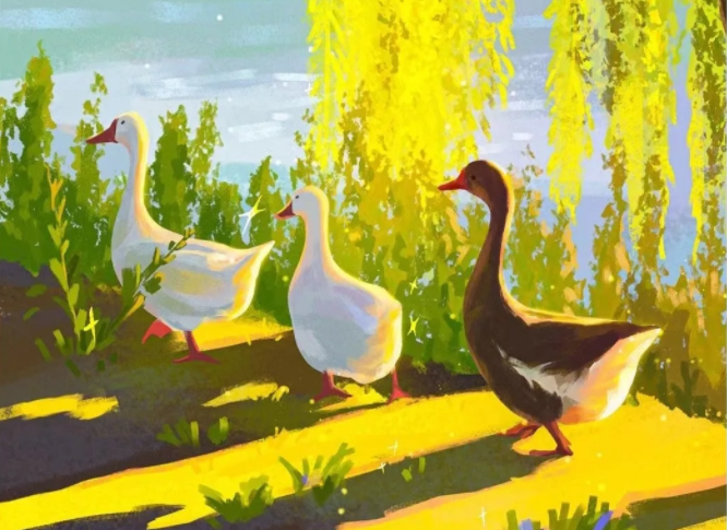 色彩班长第11期2022年