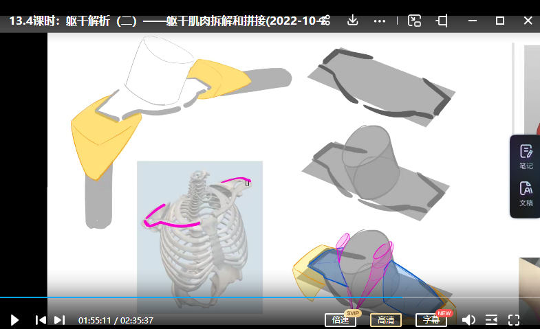 大木画画人体结构第7期2022年12月已结课