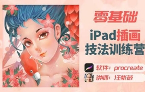 汪紫薇零基础IPAD插画技法实训2022年