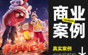 真实商业案例全流程详解2023全新DLC