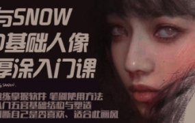与snow厚涂人像0基础入门2023