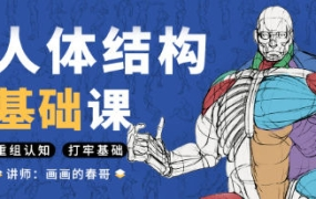 春哥人体结构基础课第13期