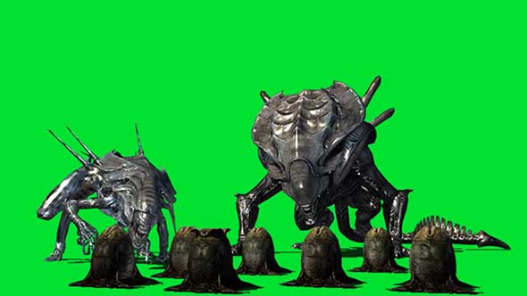 异形怪物绿幕抠像素材(一)