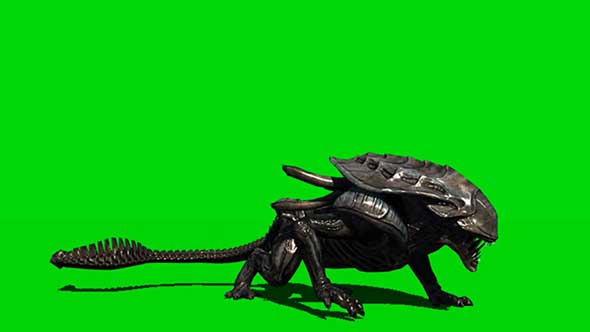 异形怪物绿幕抠像素材(二)