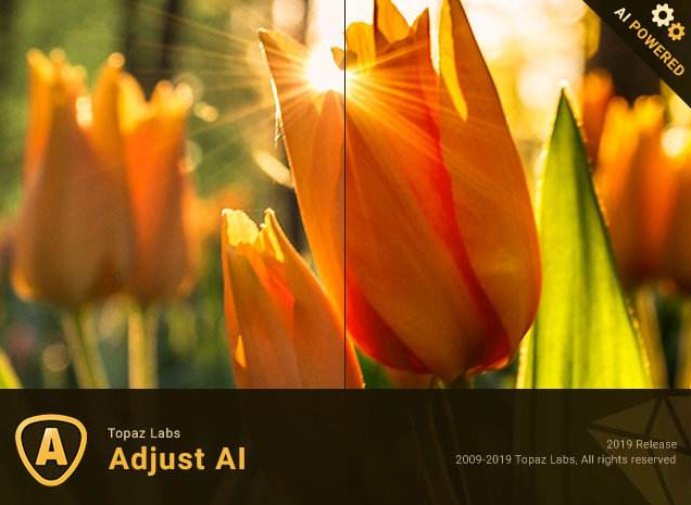 AI人工智能TOPAZ全家桶汉化套装