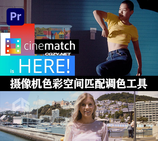 中文汉化-PR摄像机色彩空间匹配调色插件 CineMatch v1.26 Win
