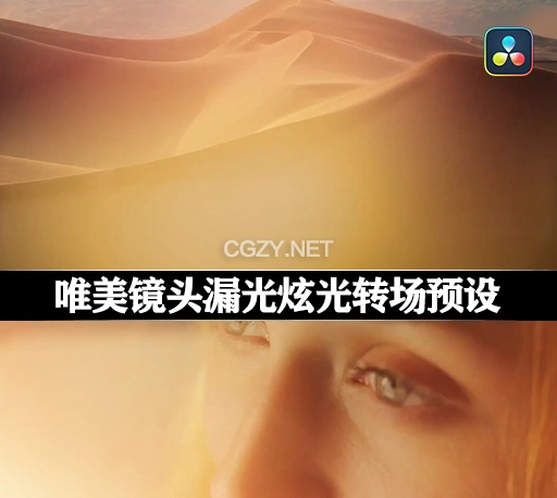 达芬奇模板|50种唯美镜头漏光炫光转场预设 Light Leaks Transitions for DaVinci