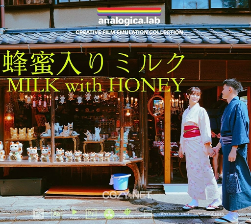 LUTs预设|清新日系风格调色预设 Analogica Lab – Milk with Honey