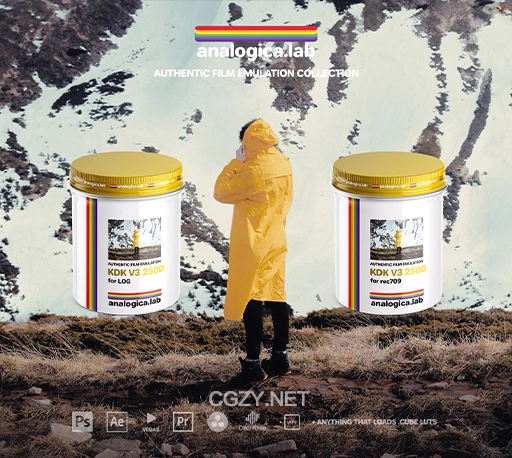 LUTs预设|模拟柯达Vision3 250D胶片效果调色预设 Analogica Lab – Kodak Vision3 250D
