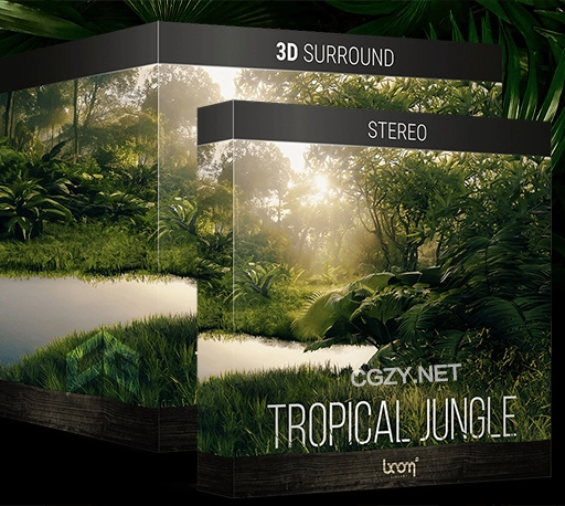 热带丛林雨林动物虫鸣鸟叫自然环境无损音效素材 Boom Library Tropical Jungle