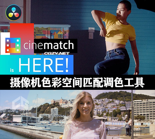 达芬奇插件|摄像机色彩空间匹配调色插件 CineMatch OFX v1.27 Win