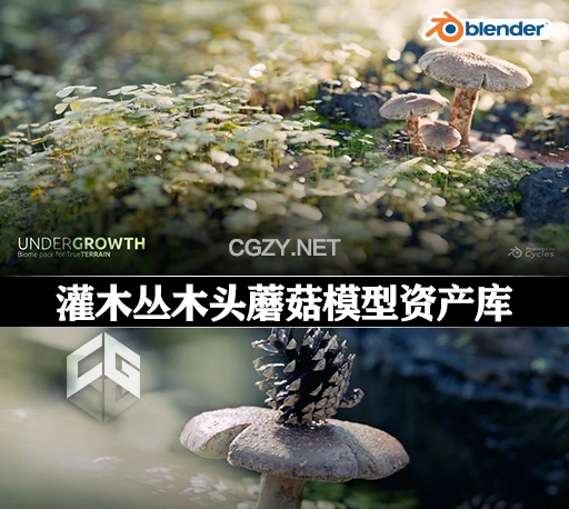 Blender灌木丛木头蘑菇模型资产库 Undergrowth | Asset Library 4K+8K