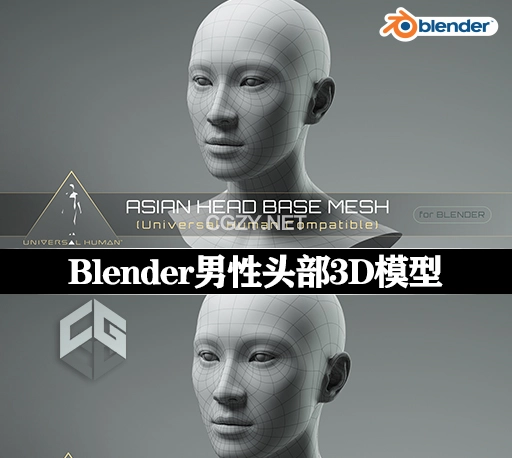 Blender男性头部3D模型 Universal Human Asian Head Base Mesh v2.1