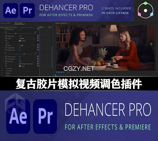 AE/PR插件|复古电影胶片质感噪点颗粒调色插件 Dehancer Pro v7.1.1 Win/Mac一键安装版