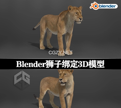 3D模型|雌性狮子绑定模型(Blend/OBJ格式) Female Lion Rigged VFX Grace 3D model