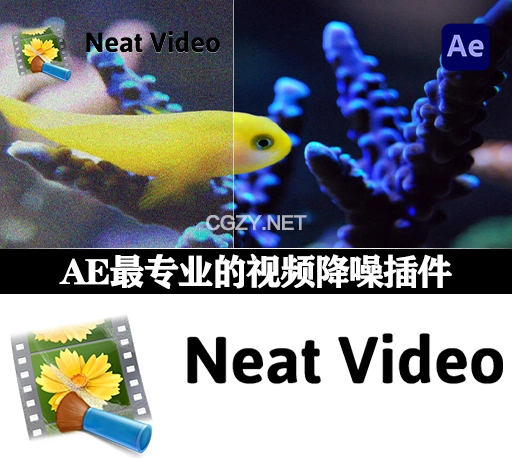 AE插件|专业视频降噪插件 Neat Video Pro 5.6.5 Win CE 一键安装 + 使用教程