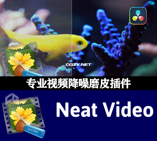 达芬奇插件|专业视频降噪磨皮插件 Neat Video Pro v5.6.5 Win