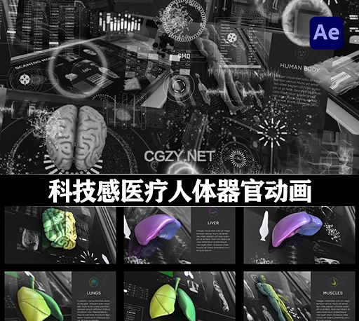 AE模板|200个科技感医疗试验人体解剖器官HUD信息图表动画 Anatomical Infographics