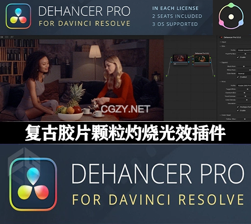 达芬奇插件|复古胶片效果模拟插件 Dehancer Pro  v7.2.1 for OFX Mac破解版