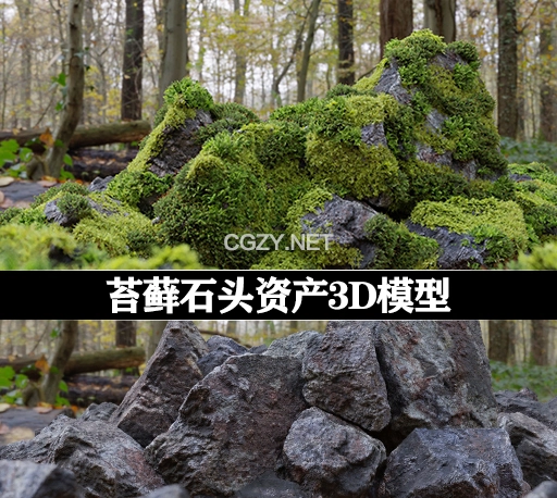 3D模型|苔藓石头资产预设 Moss 7 Species and Stones – PBR Asset Kit
