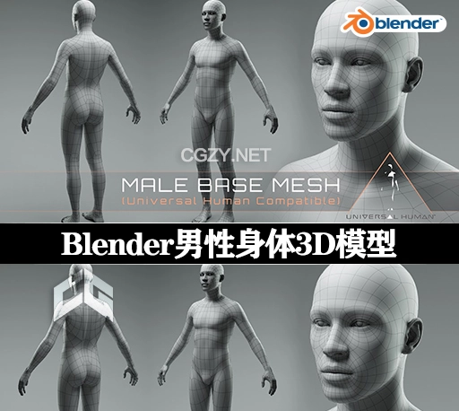Blender男性人体3D模型预设 Universal Human Male Base Mesh v2.1