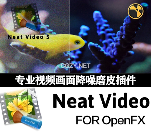 Nuke/Flame/Fusion/HitFilm/Scratch专业视频画面降噪磨皮插件 Neat Video OpenFX v5.6.5 CE Win