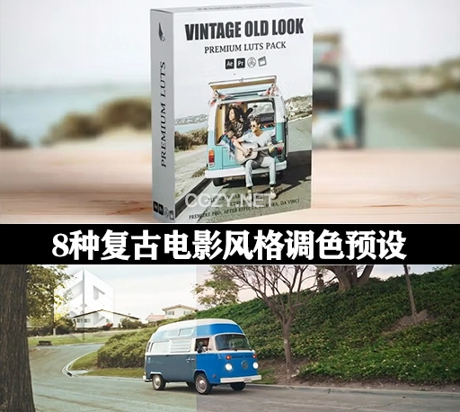 LUTs调色|8种复古电影风格滤镜 Cinematic old vintage retro Luts For a Film & Cinema old Look