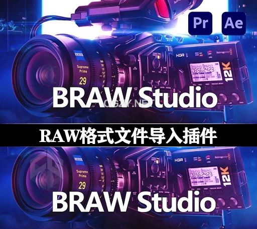AE/PR插件|Blackmagic RAW格式导入工具 BRAW Studio v3.1.3 Win破解版+使用教程