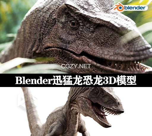 Blender迅猛龙恐龙3D模型 Raptor Dinosaur 3d Model Realistic And Rigged