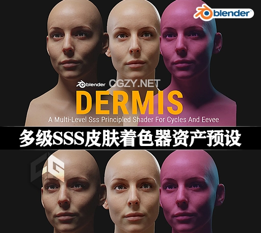 Blender预设|真实皮肤着色器 Dermis Shader v1.1 – A Multi-Level Sss Principled Shader For Cycles
