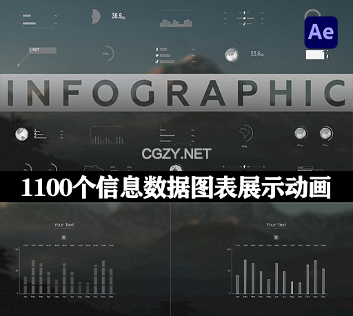 1100个可视化信息数据图表展示ICON图标动画AE模板 Infographics Elements