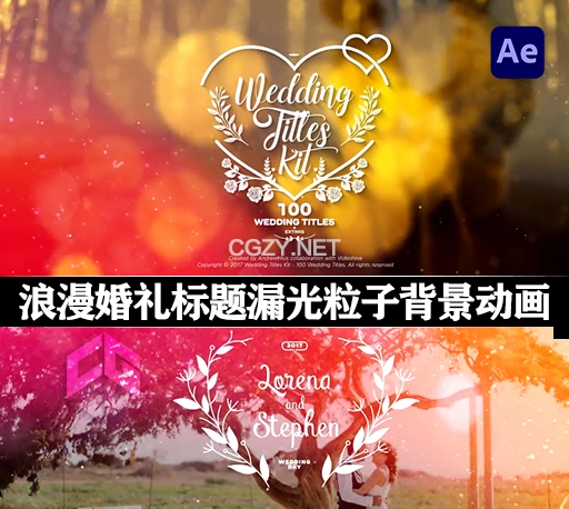 AE模板|100组浪漫婚礼文字标题漏光粒子背景动画工具包 Wedding Titles Kit