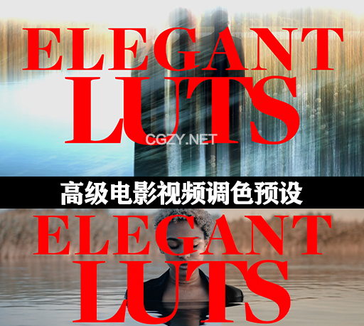 高级时尚电影商业广告流行音乐视频LUTs调色预设 AcidBite – Elegant Luts